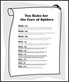 rules for the care of spiders